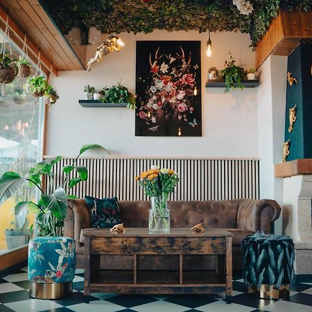 Johnys Jungle Bed and Breakfast Marbach an der Donau Εξωτερικό φωτογραφία